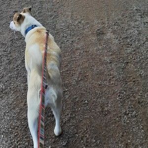 Meet your Posher, Posh